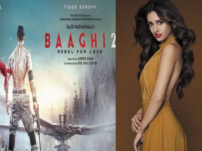 disha patni in baagi2 as lead actress 6